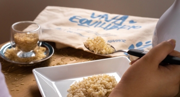 Imagem Alimentação equilibrada e prática de exercícios pode auxiliar nos níveis de colesterol