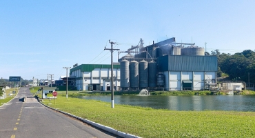 Imagem Em 2022, Fumacense Alimentos pretende expandir em 25% sua presença no Brasil