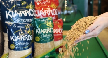 Imagem Início da colheita de arroz traz boas expectativas para a comercialização do grão