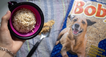 Imagem Evitando desperdício, Fumacense Alimentos aposta no arroz para cães
