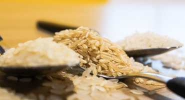 Imagem Presente nos quatro cantos do mundo, o arroz nunca sai da mesa dos brasileiros