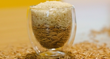 Imagem Da plantação à mesa: como funciona a cadeia de suprimentos do arroz?