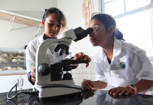 Foto de Fumacense Alimentos