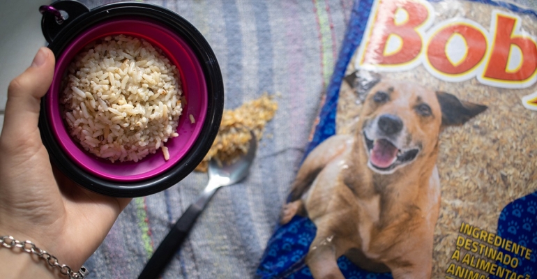 Evitando desperdício, Fumacense Alimentos aposta no arroz para cães