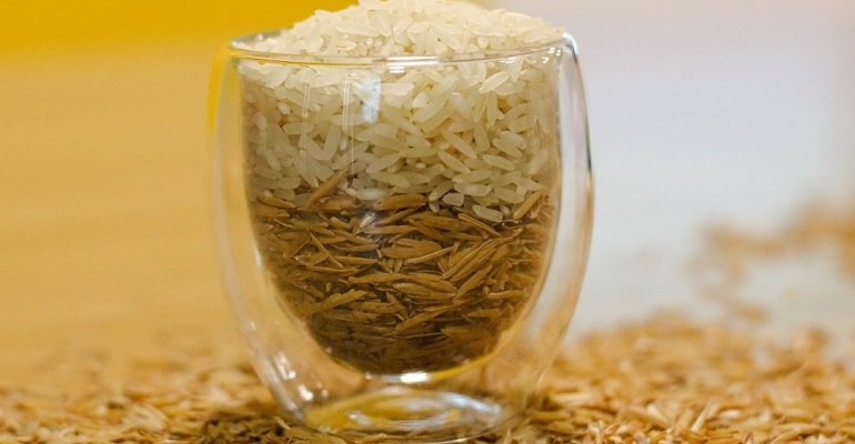 Da plantação à mesa: como funciona a cadeia de suprimentos do arroz?